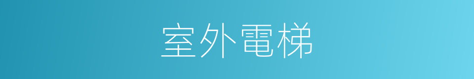 室外電梯的同義詞