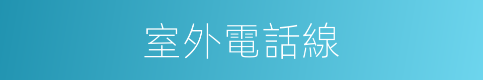 室外電話線的同義詞