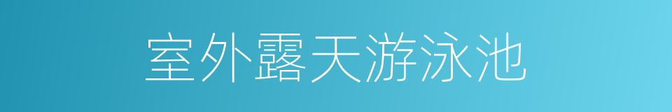 室外露天游泳池的同义词