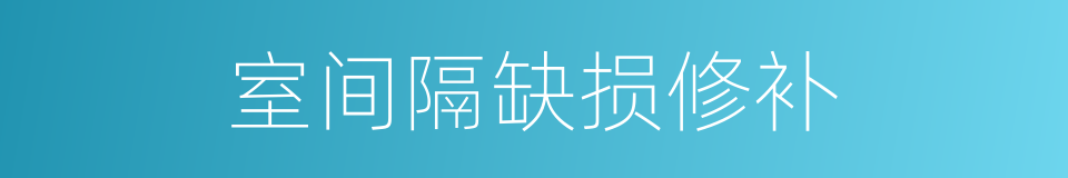 室间隔缺损修补的同义词