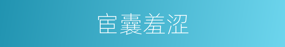 宦囊羞涩的意思