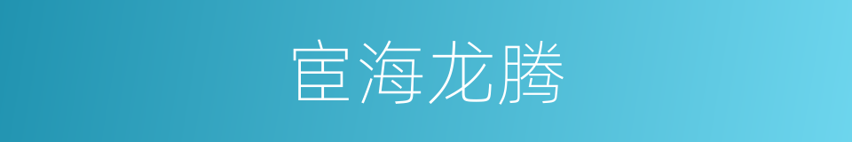 宦海龙腾的同义词