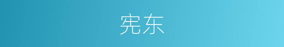 宪东的同义词