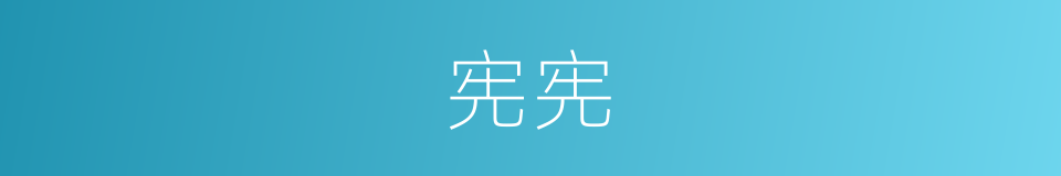宪宪的意思