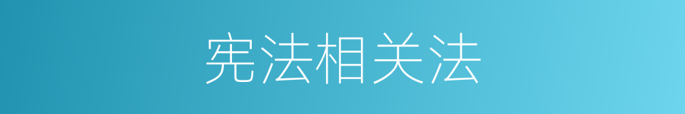 宪法相关法的同义词