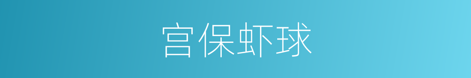 宫保虾球的同义词