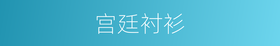 宫廷衬衫的同义词