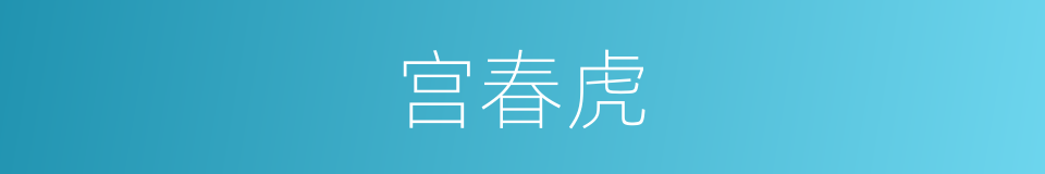 宫春虎的同义词