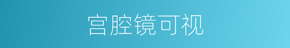 宫腔镜可视的同义词