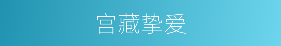 宫藏挚爱的同义词