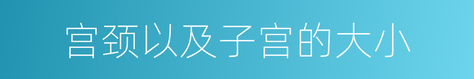 宫颈以及子宫的大小的同义词