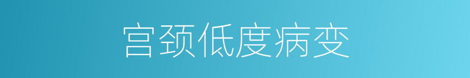 宫颈低度病变的同义词