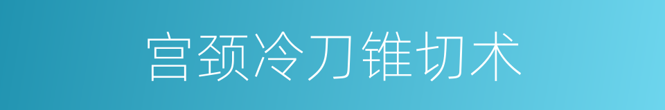 宫颈冷刀锥切术的同义词