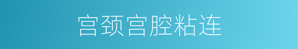 宫颈宫腔粘连的同义词