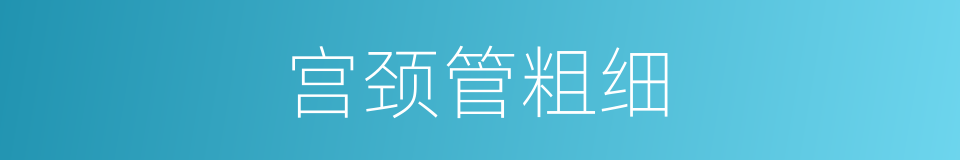 宫颈管粗细的同义词