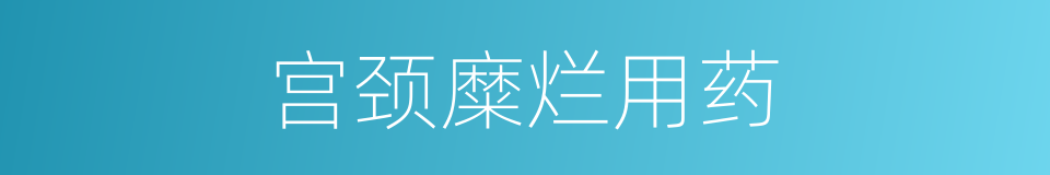 宫颈糜烂用药的同义词