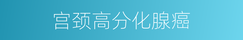 宫颈高分化腺癌的同义词