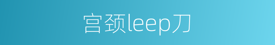 宫颈leep刀的同义词