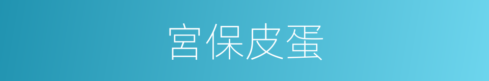 宮保皮蛋的同義詞