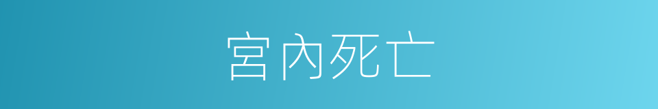 宮內死亡的同義詞