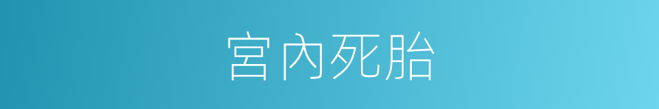 宮內死胎的同義詞