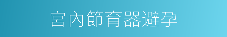 宮內節育器避孕的同義詞