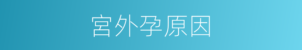宮外孕原因的同義詞