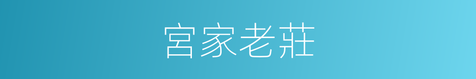 宮家老莊的同義詞