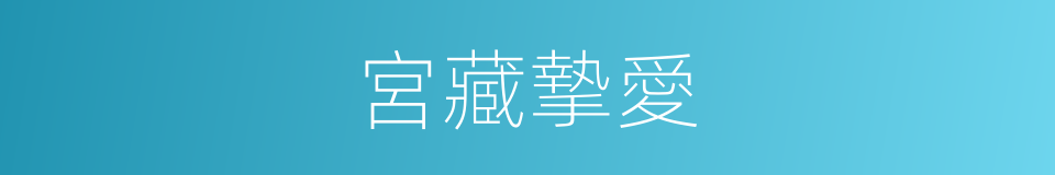 宮藏摯愛的同義詞