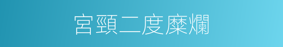 宮頸二度糜爛的同義詞