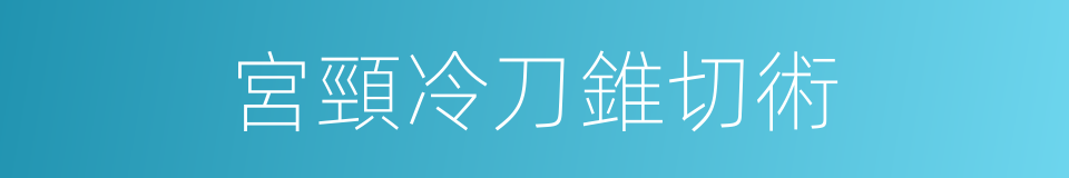 宮頸冷刀錐切術的同義詞