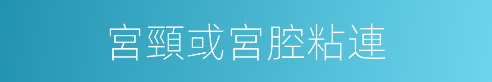 宮頸或宮腔粘連的同義詞