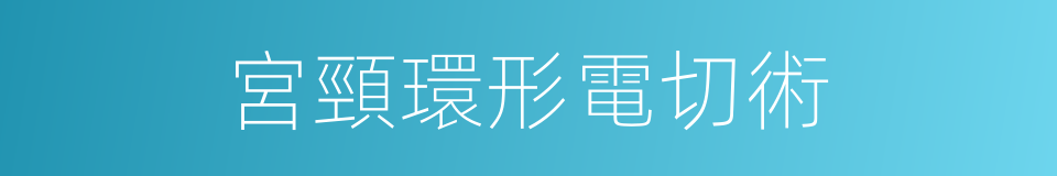 宮頸環形電切術的同義詞