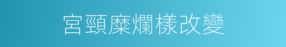 宮頸糜爛樣改變的同義詞