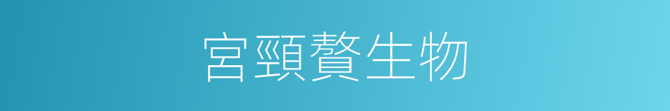 宮頸贅生物的同義詞