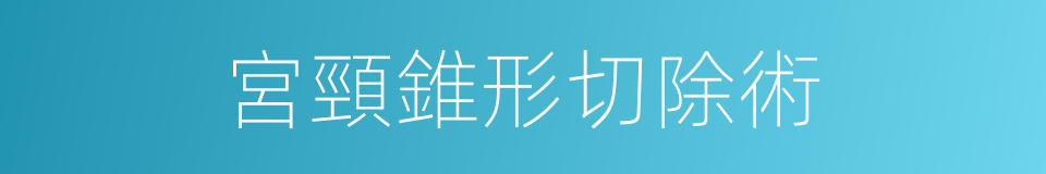 宮頸錐形切除術的同義詞