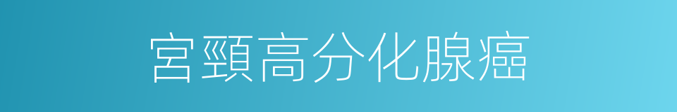 宮頸高分化腺癌的同義詞