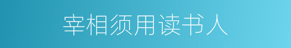 宰相须用读书人的同义词