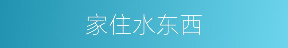 家住水东西的同义词