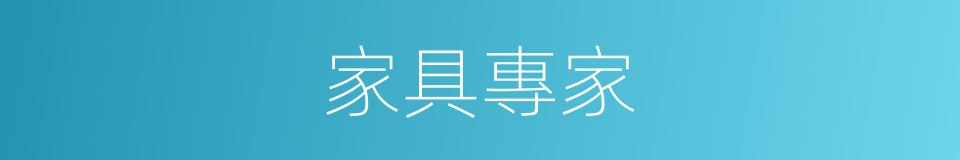 家具專家的同義詞