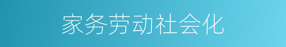 家务劳动社会化的同义词