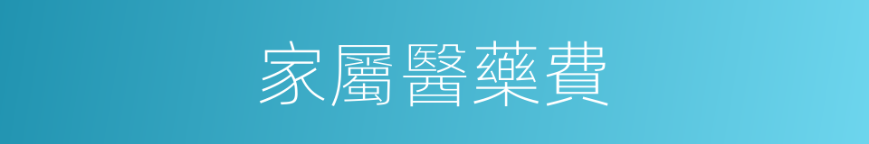 家屬醫藥費的同義詞