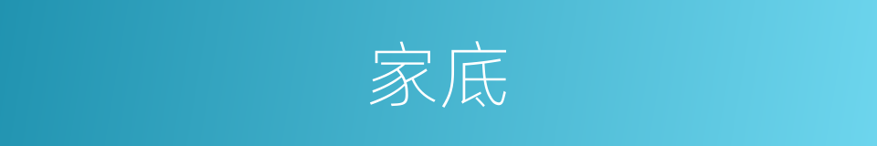 家底的意思