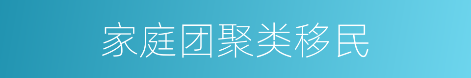 家庭团聚类移民的同义词