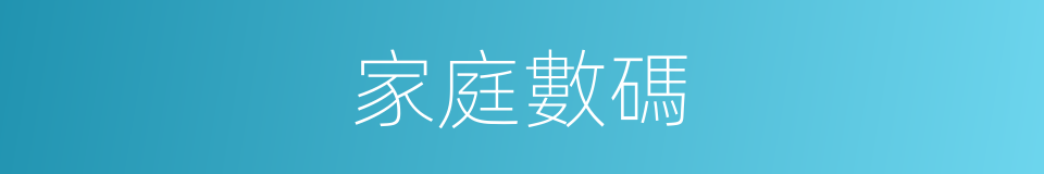 家庭數碼的同義詞