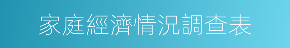 家庭經濟情況調查表的同義詞