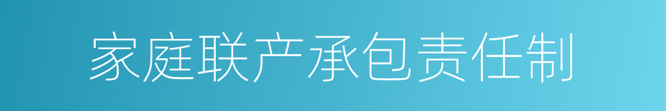 家庭联产承包责任制的同义词