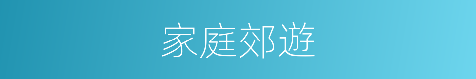 家庭郊遊的同義詞