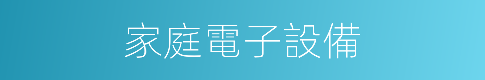 家庭電子設備的同義詞