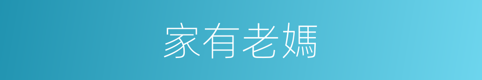 家有老媽的同義詞